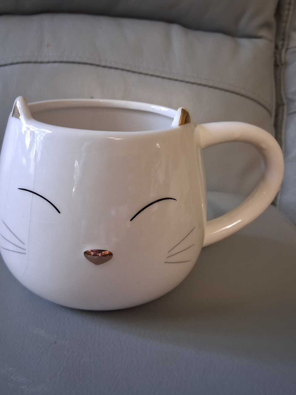 World Market Hidden Surprise Cat Mug